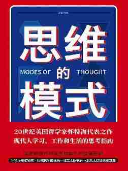 思维的模式(颠覆你的思维，打破你的想象，大师帮你大开脑洞；现代人学习、工作和生活的思考指南)